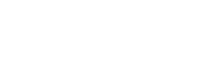 Laguna Solutions Logo
